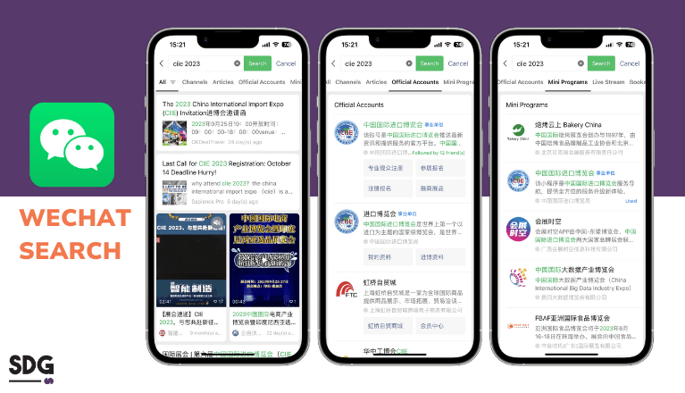 SEO CHINA WECHAT SEARCH