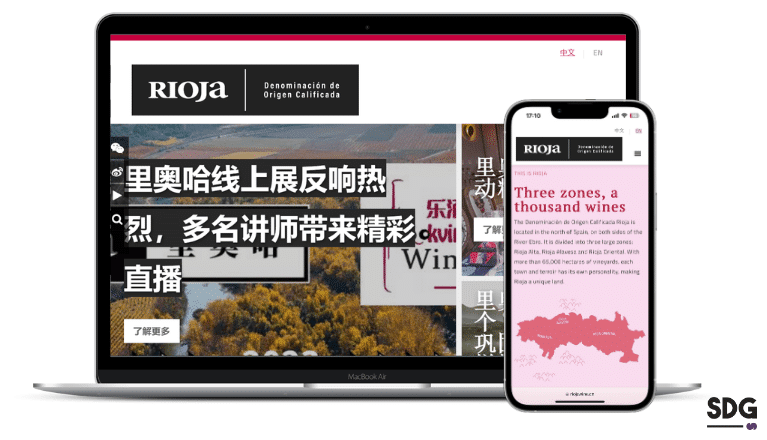 Rioja responsive website for wine market China