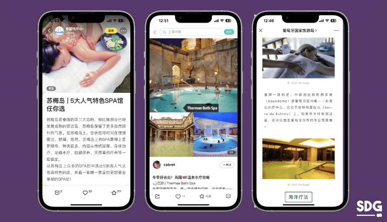 wellness tourism posts on Chinese social media