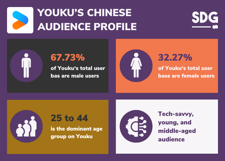 Youku's Chinese audience profile